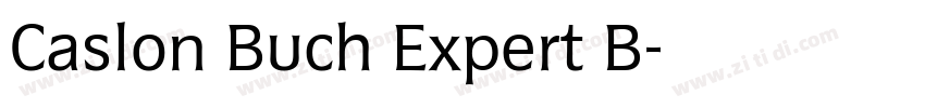Caslon Buch Expert B字体转换